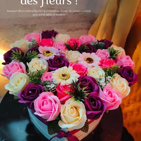 Le Neflier - Balneo - Romantique Pour 2 Guest house Dijon