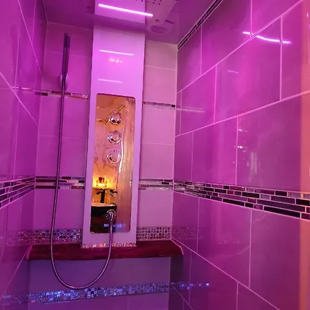 Le Neflier - Balneo - Romantique Pour 2 Guest house Dijon