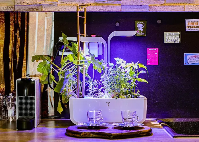 Le Neflier - Balneo - Romantique Pour 2